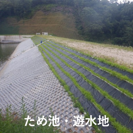 イジゲンシート