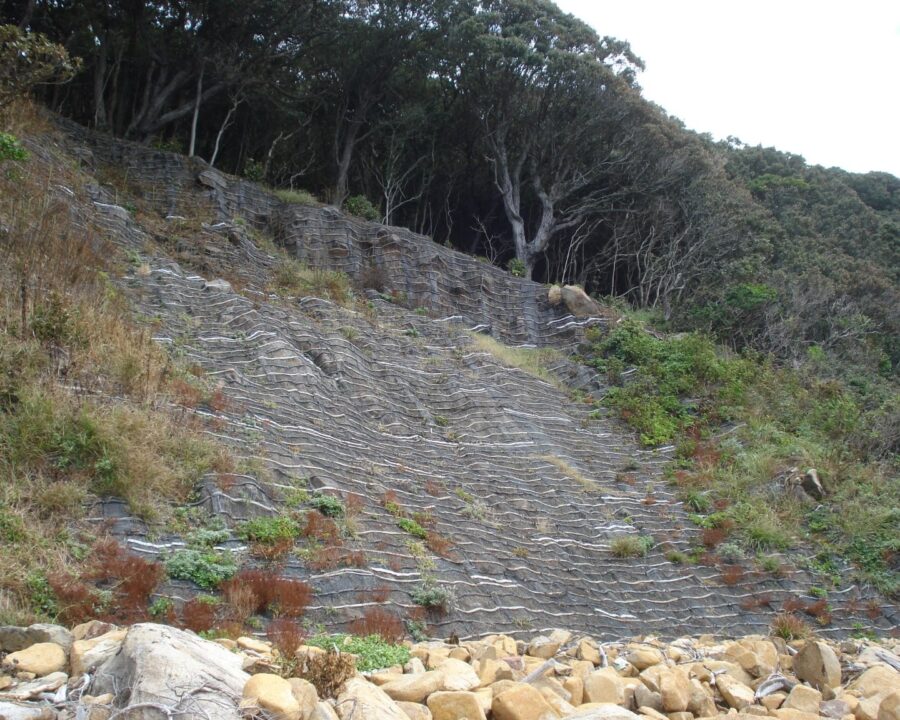 施工後1年3ヶ月