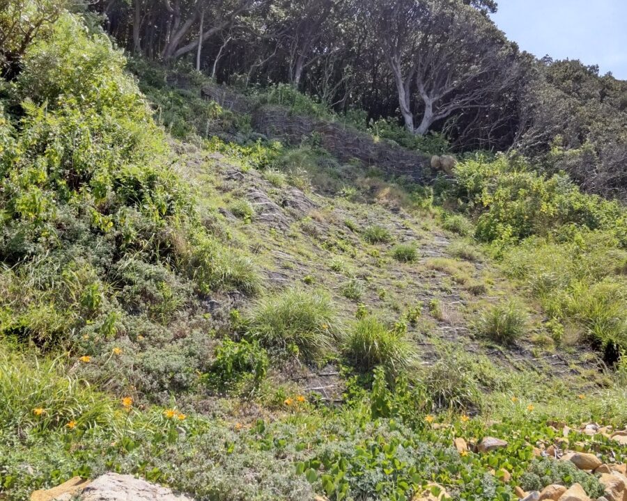 施工後3年2ヶ月