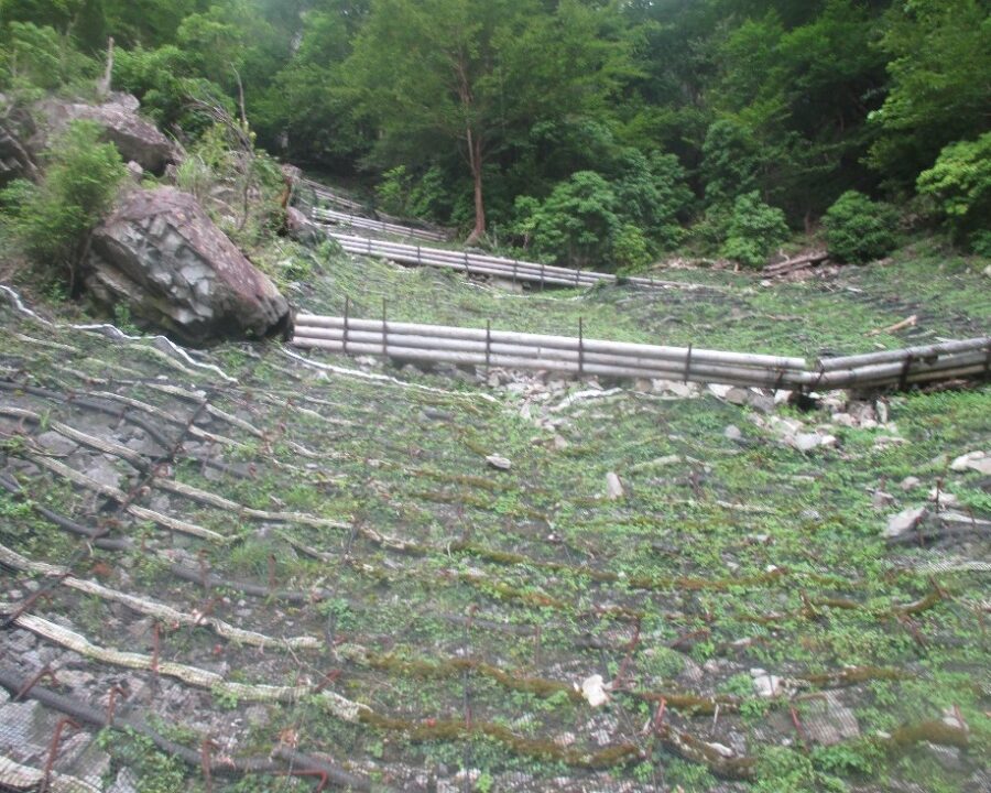 施工後1年7ヶ月