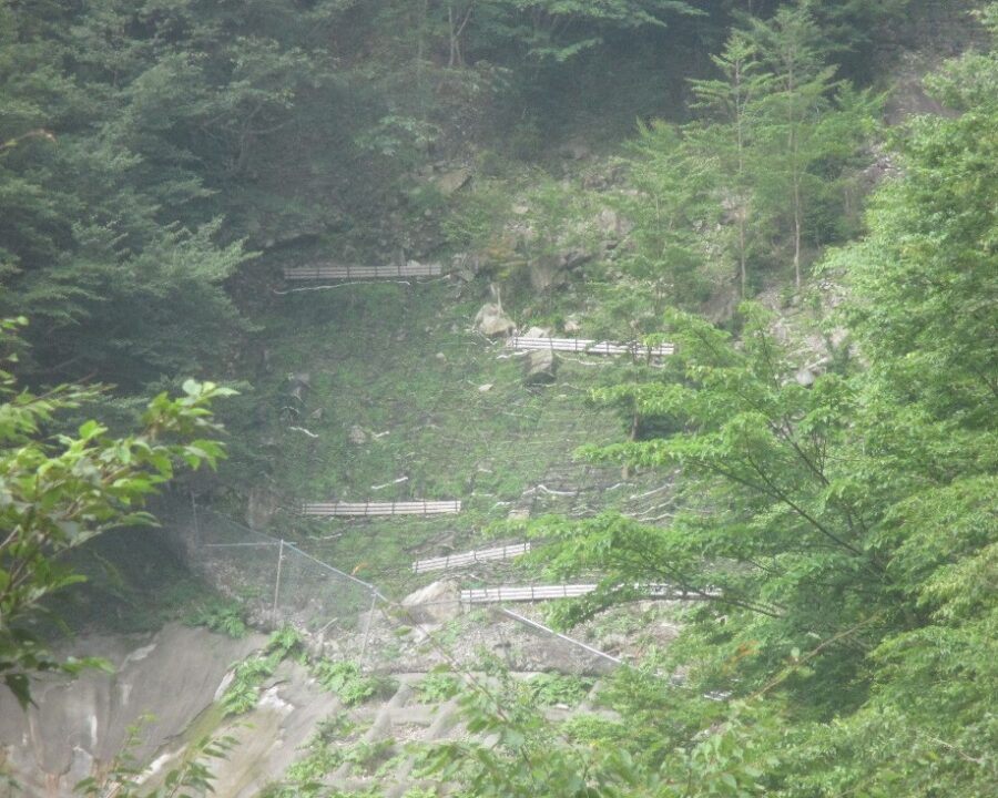 施工後1年7ヶ月