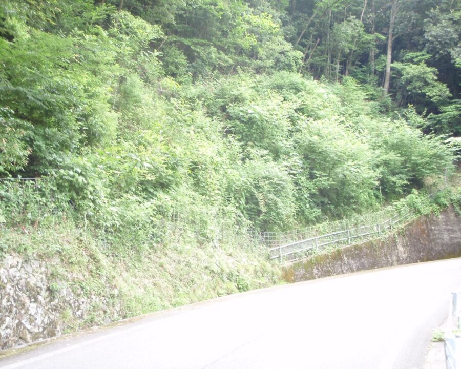 施工後3年1ヶ月