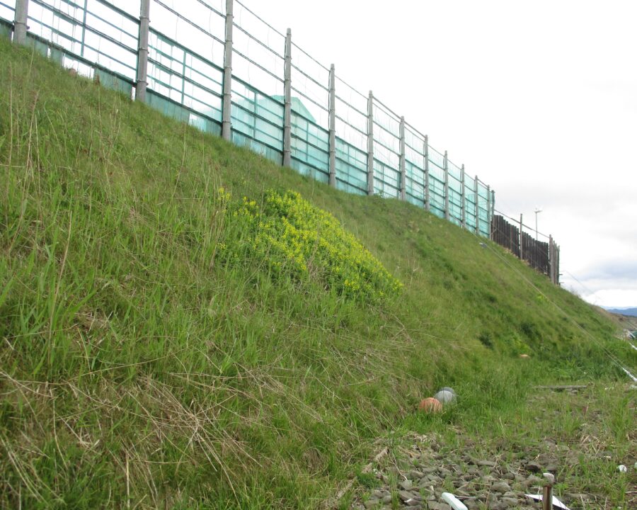 施工後3年1ヶ月