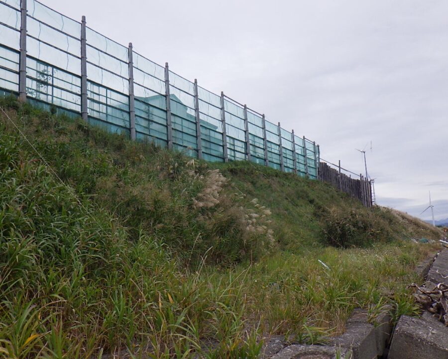 施工後6年6ヶ月