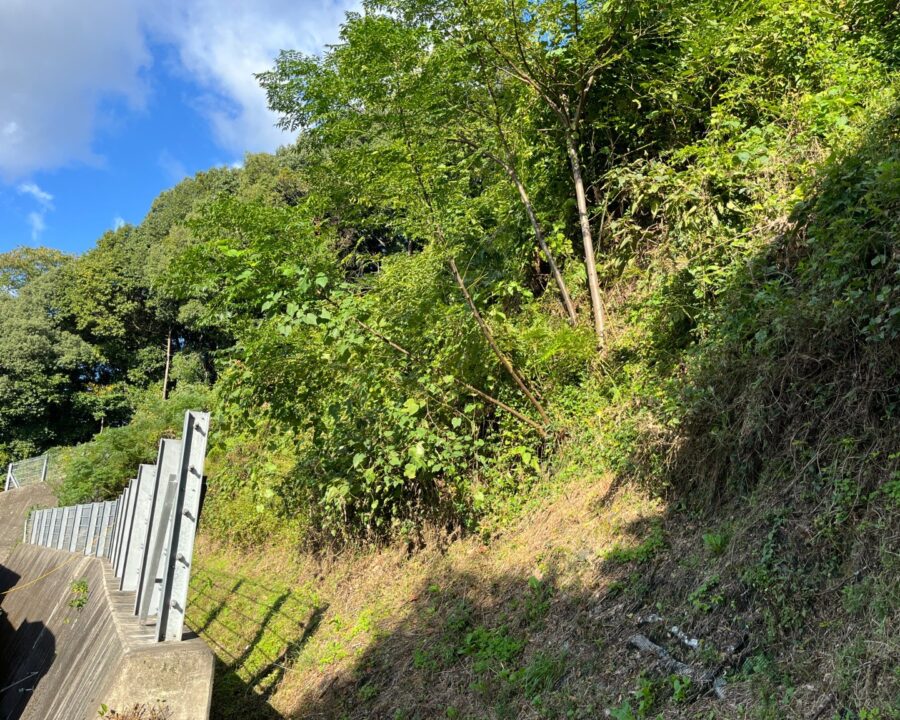 施工後6年9ヶ月