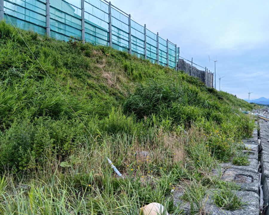 施工後7年4ヶ月