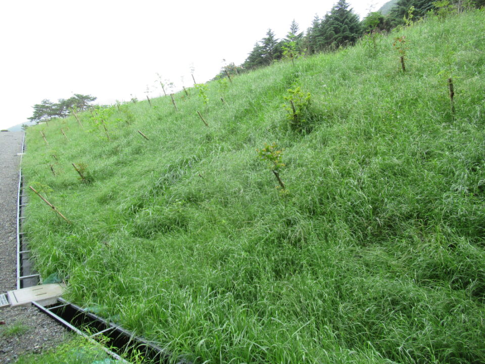 施工後1年2ヶ月