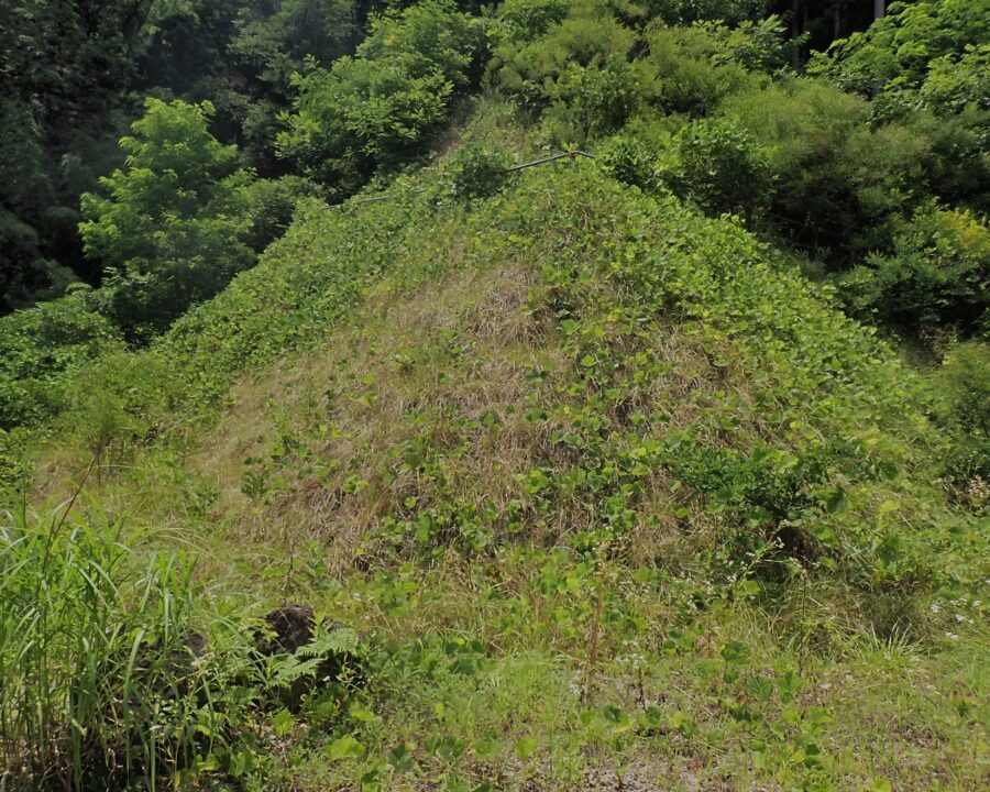 施工後4年9ヶ月