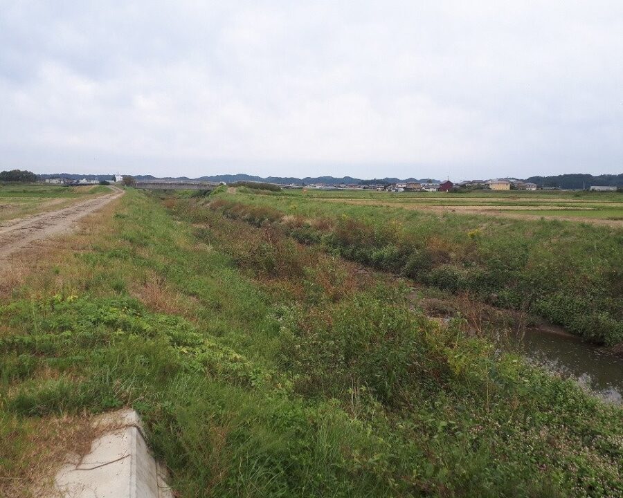 施工後1年5ヶ月