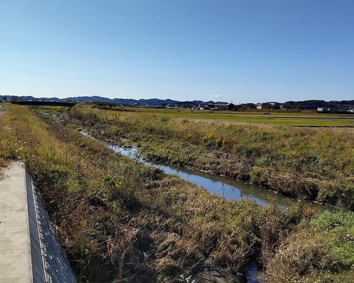 施工後2年6ヶ月