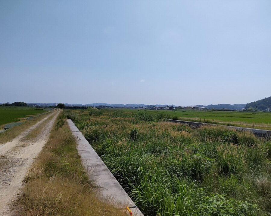 施工後5年1ヶ月