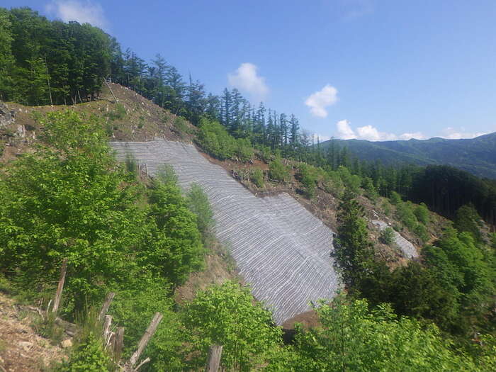 瑞梅寺川緊急対策工事