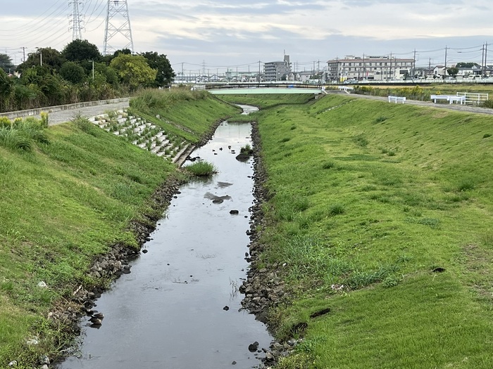 桂川ウェルネスパーク園路拡張工事
