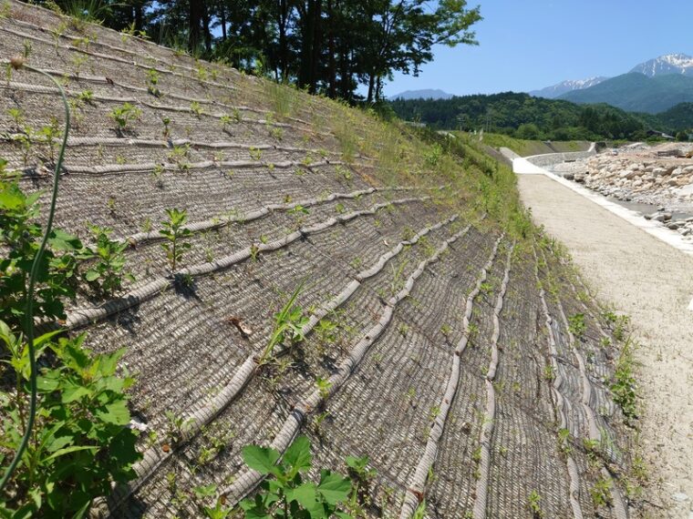 海岸防災林強化事業 千浜地区盛土工事