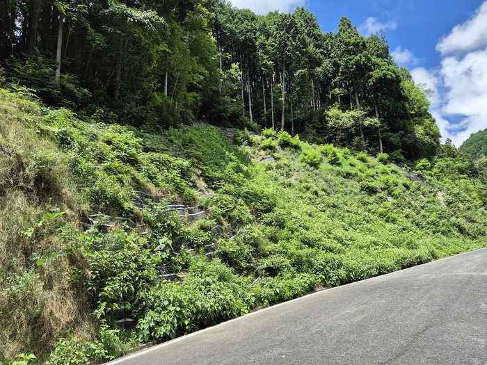 県単治山災害復旧事業緑化工外工事