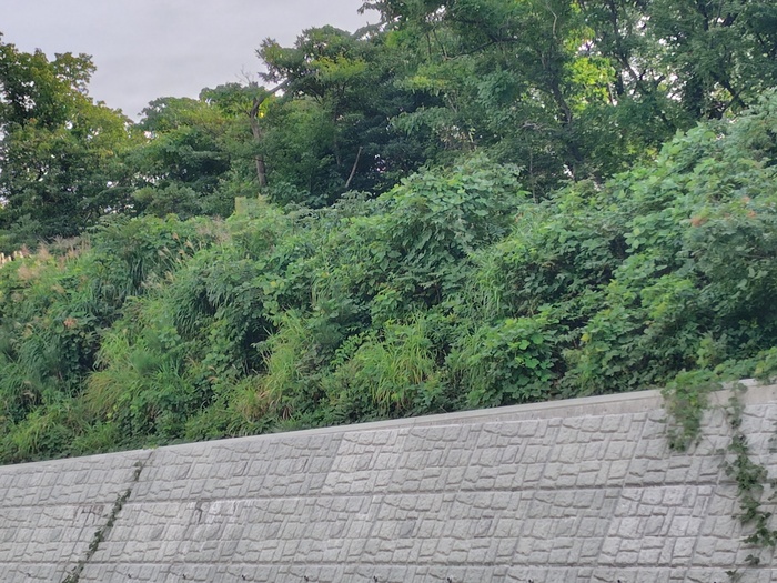 盛土緊急対策工事(掘削)