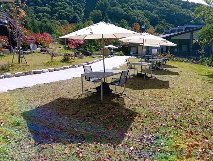経過