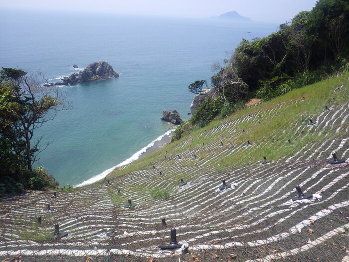 小山田蓮田緑地整備工事