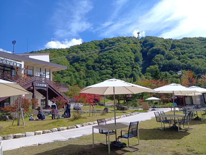県単治山災害復旧事業緑化工外工事