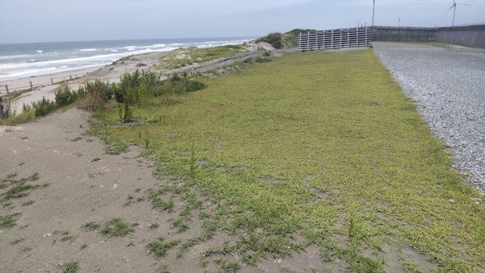 工場敷地内整備工事