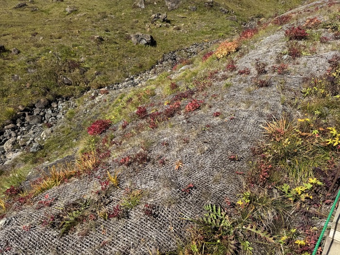 岩崎地区県単治山(崩壊後復旧)工事