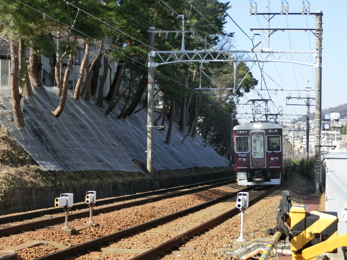 動物園内西側園路整備工事