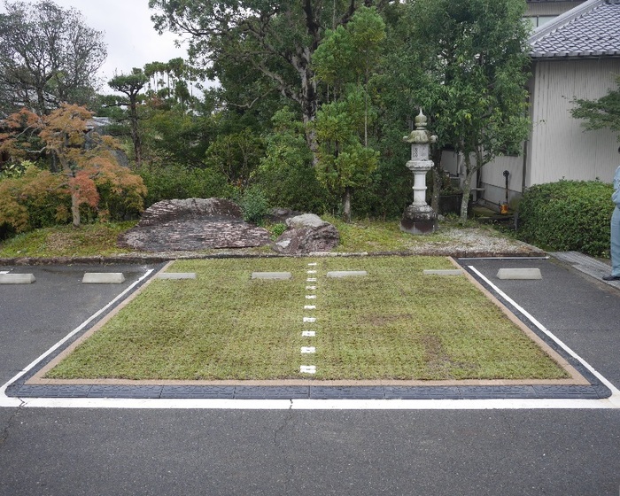 張芝完了