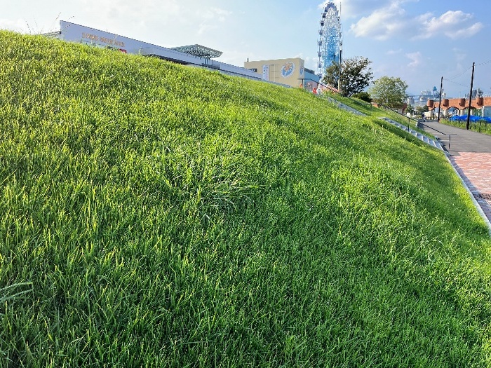 施工後9ヶ月