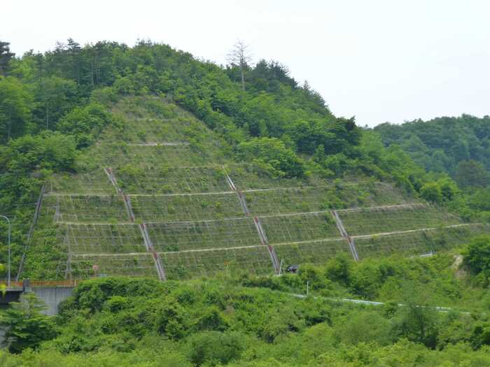 施工後6年6ヶ月