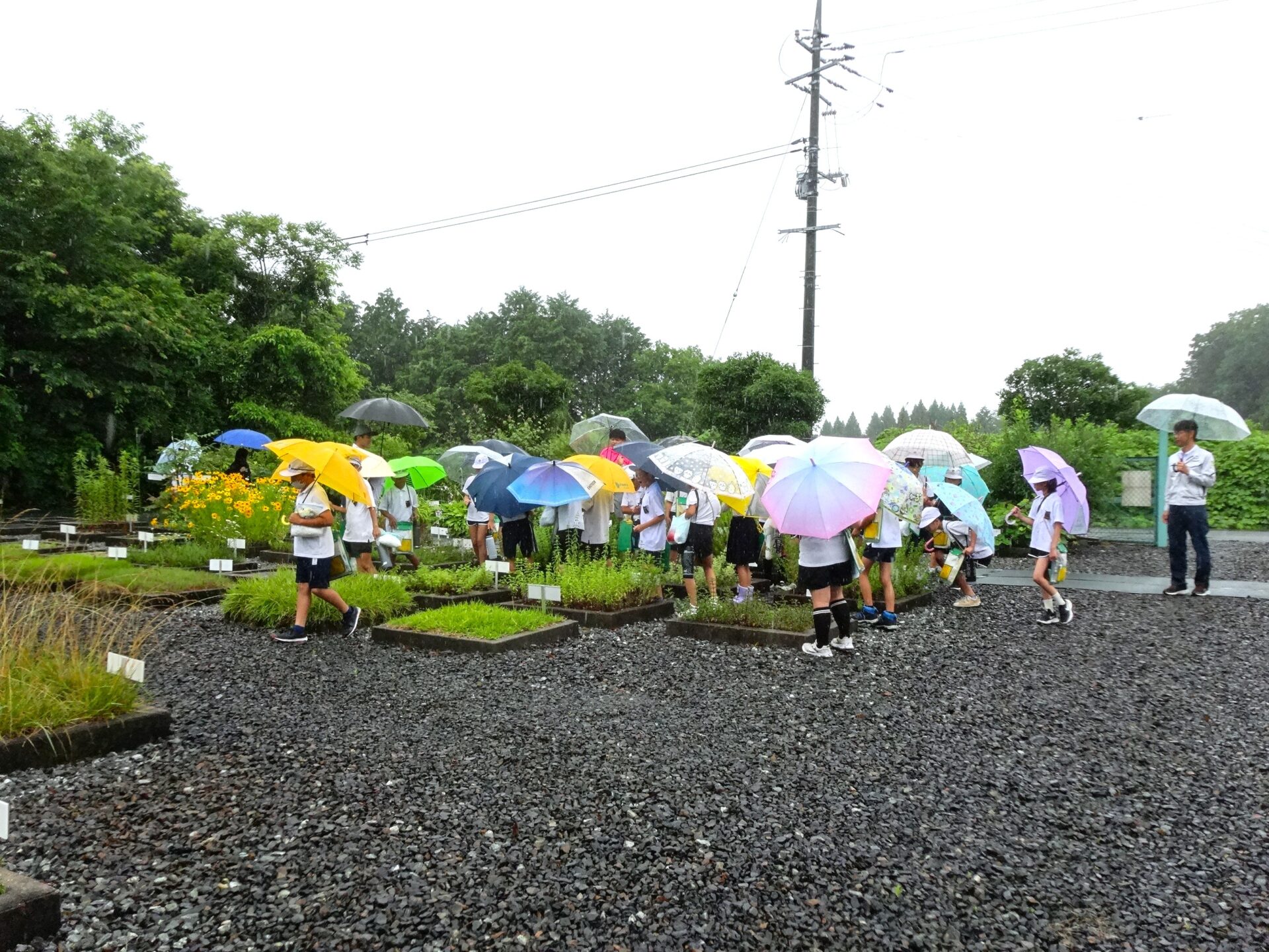 研究圃場で環境学習のお手伝い2026