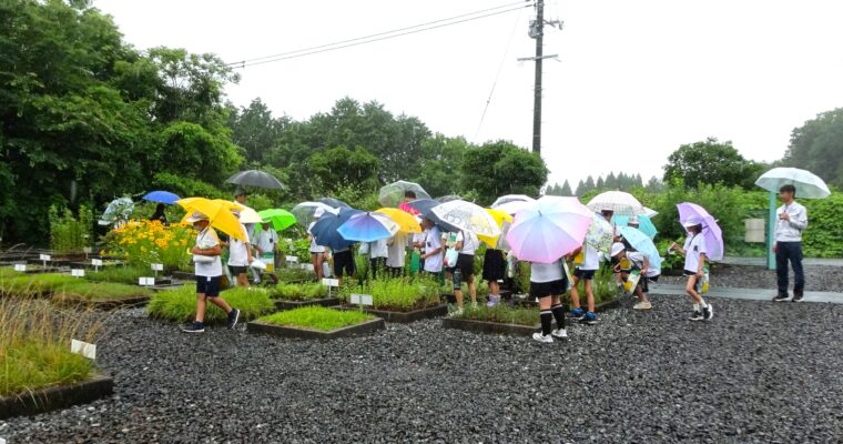 研究圃場で環境学習のお手伝い2026