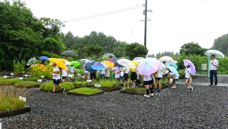 研究圃場で環境学習のお手伝い2026