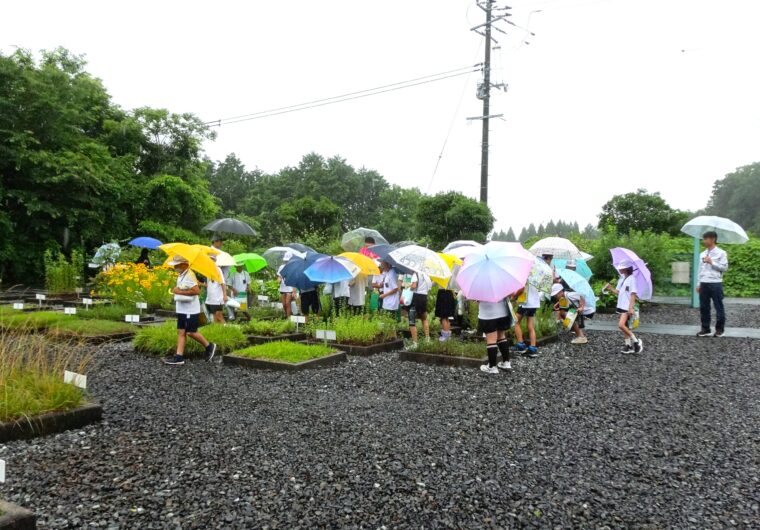 研究圃場で環境学習のお手伝い2026