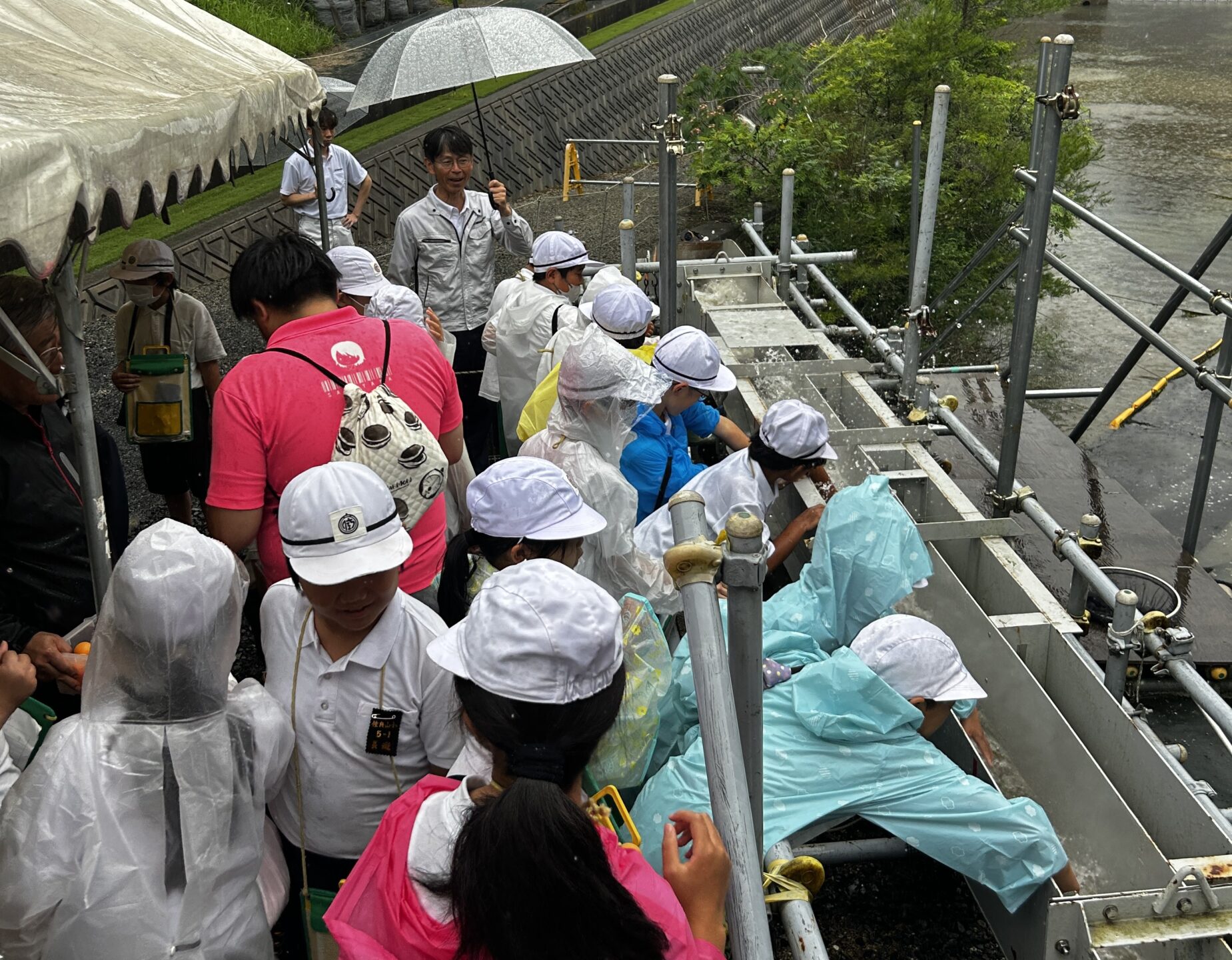 研究圃場で環境学習のお手伝い2026