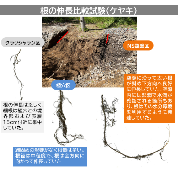 ＮＳ路盤