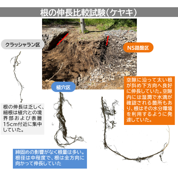 ＮＳ路盤